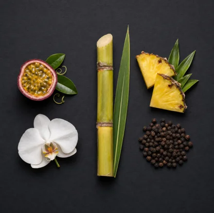 Profil de saveur de Guadeloupe