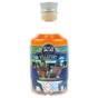 Famille Ricci Clarendon & Secret Villefort