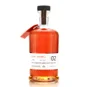 Dark Matter Distillers Physicist Series 02 Clerk Maxwell 2015
