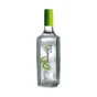 Savanna Creol Blanc