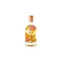 Ti Arrangés de Ced‘ GRAAL Mangue Pamplemousse Les Rhums de Ced