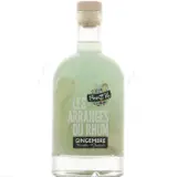 Breiz’île Les Arrangés Du Rhum Gingembre Menthe Glaciale 70cl bottle — view 1