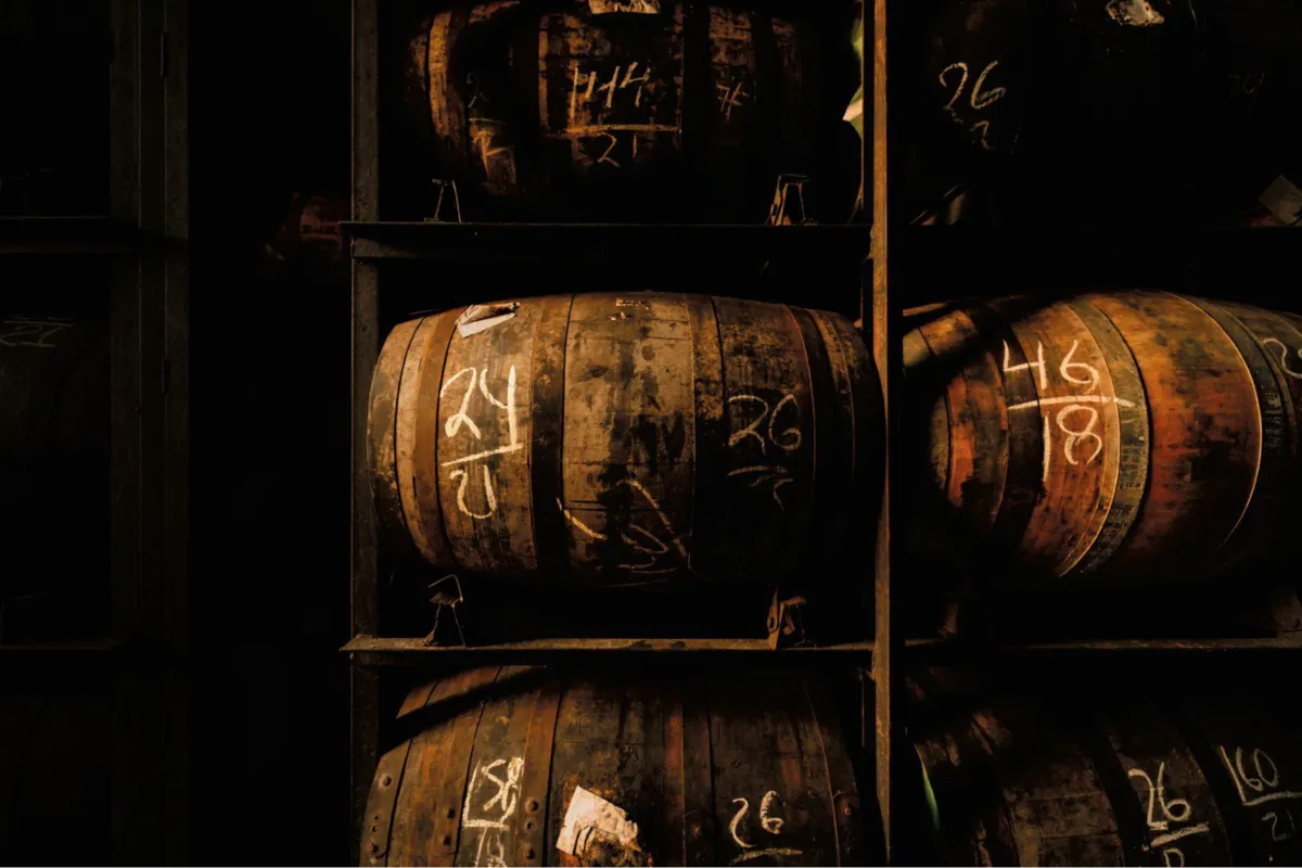 Barrel warehouse at Diplomático