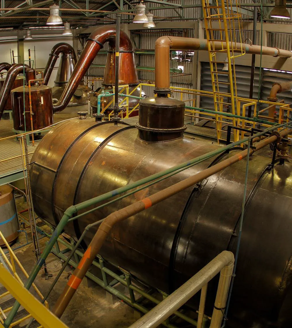 Batch Kettle Still at Diplomático