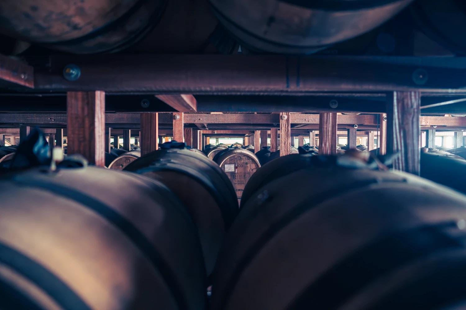 Rows of wooden rum barrels ageing in a dark cellar