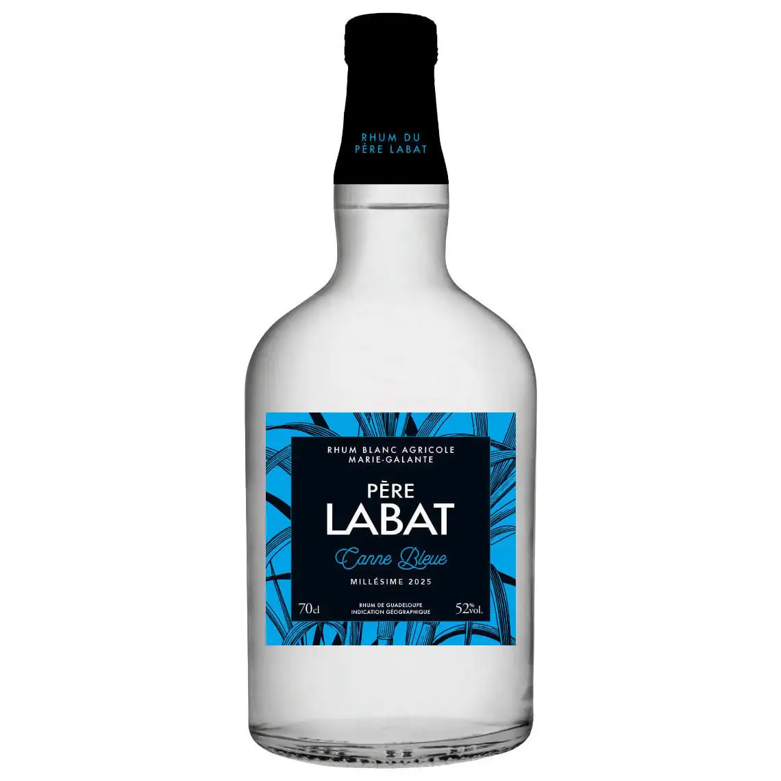 Poisson Père Labat Canne Bleue 2025