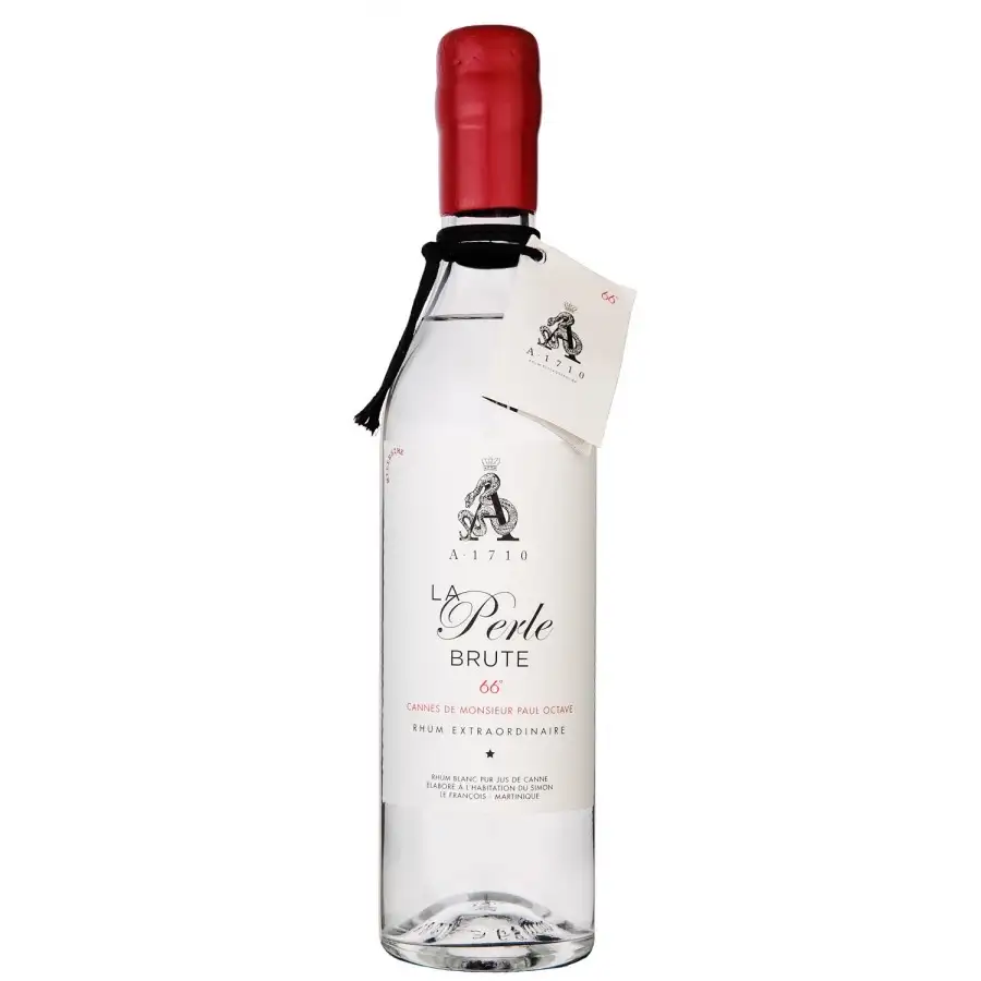 Habitation du Simon A1710 La Perle Brute 2019