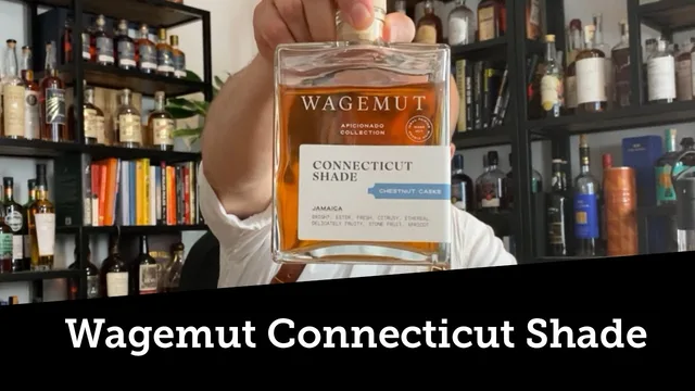 Video review: Wagemut Connecticut Shade (Aficionado Collection)