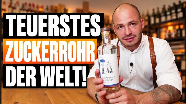 Video review: O Reizinho The Spirit Traveller No. 8 2023