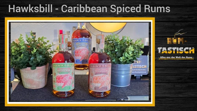 3x Hawksbill Caribbean Spiced Rum – 38% Vol. 🥃 Schildkröten 🐢 retten mit Ananas, Mango & Spices